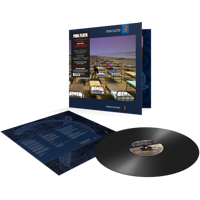 Pink Floyd - A Momentary Lapse Of Reason (V (Vinyl)