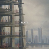 Banks, Paul: Banks (Vinyl/CD)