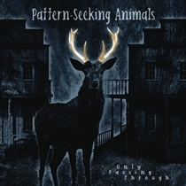 Pattern-Seeking Animals: Only Passing Through (CD)