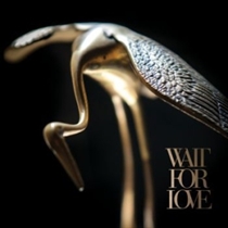 Pianos Become The Teeth: Wait For Love (Vinyl)