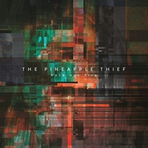 Pineapple Thief, The: Hold Our Fire (Vinyl)