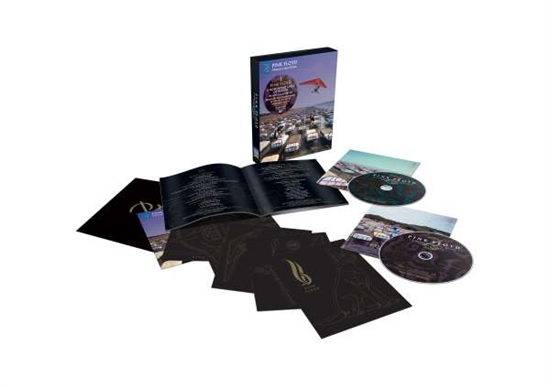 Pink Floyd - A Momentary Lapse Of Reason - DVD Mixed product