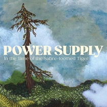 Power Supply: In The Time Of Sabre-Toothed Tiger (Vinyl)