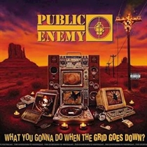 Public Enemy: What You Gonna Do when the Grid Goes Down? (Vinyl)
