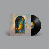 Punch Brothers - Hell on Church Street (Vinyl) (Vinyl)
