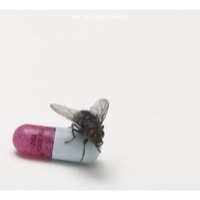 Red Hot Chili Peppers: I'm with You (CD)