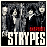 Strypes, The: Snapshot (Vinyl)