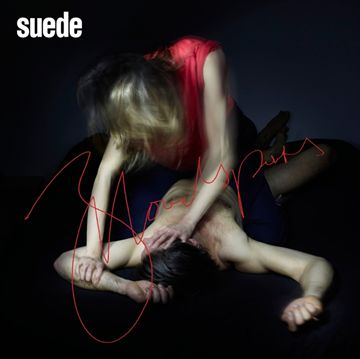 Suede: Bloodsports (CD)
