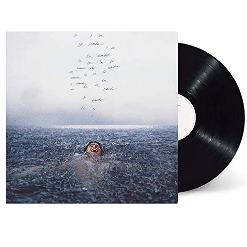 SHAWN MENDES - WONDER (Vinyl)
