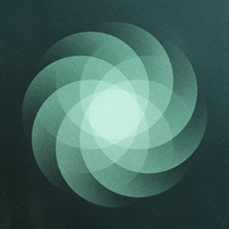 SOM: The Shape Of Everything (CD)