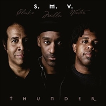 Stanley Clarke & Marcus Miller - Thunder - LP VINYL