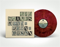 The Staves - Dead & Born & Grown - LP VINYL