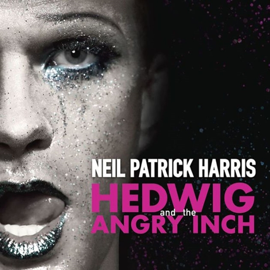 Stephen Trask - Hedwig And The Angry Inch (Ori - LP VINYL