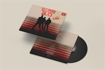 Sting - 3.0 (Vinyl)