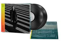 STING - THE BRIDGE (Vinyl)