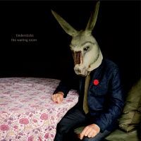 Tindersticks: The Waiting Room (Vinyl)