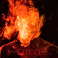 Tricky: Adrian Thaws (Vinyl)