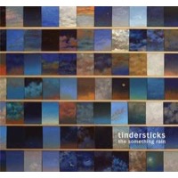 Tindersticks: The Something Rain