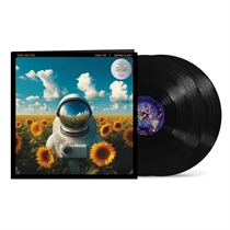 Tears For Fears - Songs For A Nervous Planet (2xVINYL)