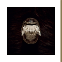 Amenra - De Toorn (Vinyl)
