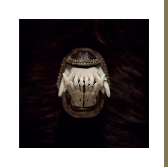 Amenra - De Toorn (Vinyl)