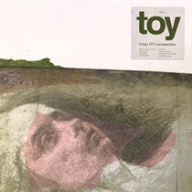 Toy: Songs of Consumption (CD)