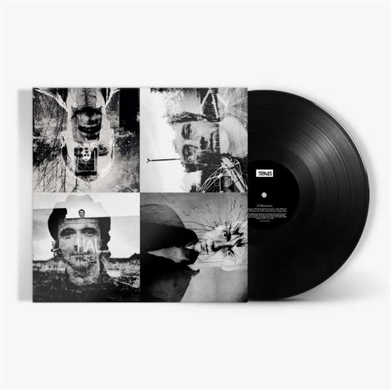 Travis: 12 Memories (Vinyl)