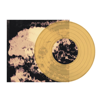 The Underground Youth - Beautiful & Damed (Vinyl)
