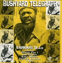 Diverse Kunstnere: Bushyard Telegram  (CD)