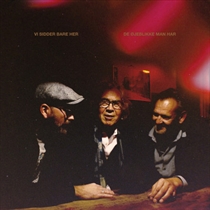 VI SIDDER BARE HER - DE ØJEBLIKKE MAN HAR (Vinyl)