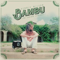 Wilson, Dennis: Bambu - The Caribou Sessions RSD 2017 (Vinyl)