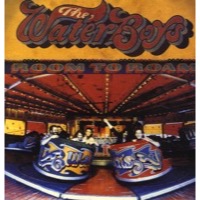 Waterboys, The: Room To Roam (Vinyl)