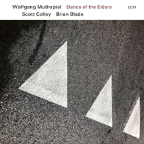 Wolfgang Muthspiel w. Scott Colley & Brian Blade - Dance Of The Elders - CD