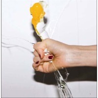 Yeah Yeah Yeahs: It's Blitz