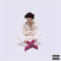 Yungblud: 21st Century Liability (Vinyl)