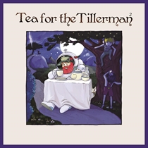 Yusuf/Cat Stevens: Tea for the Tillerman 2 (CD)